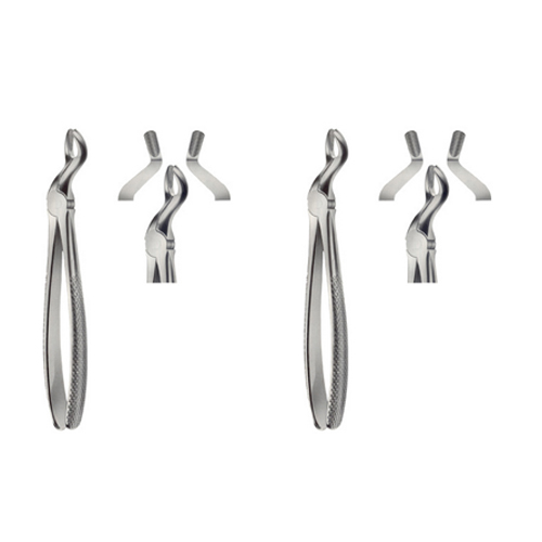 Tooth Extracting Forceps